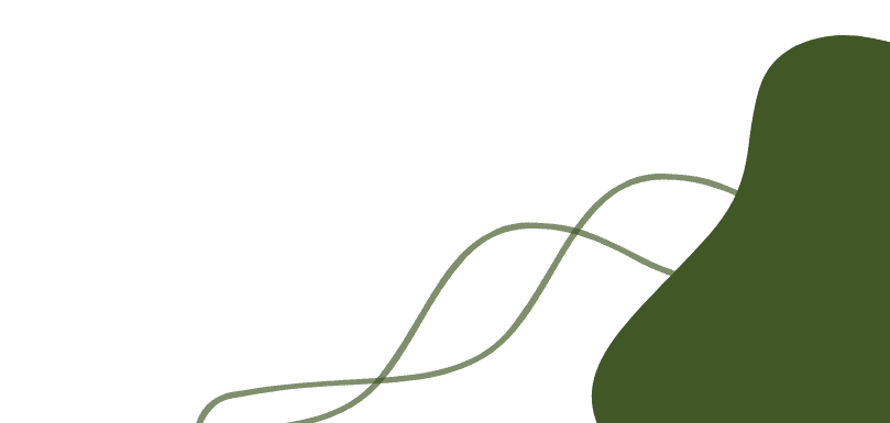 THÁI THỊ DIỆU THƯ