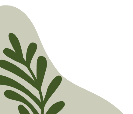 THÁI THỊ DIỆU THƯ