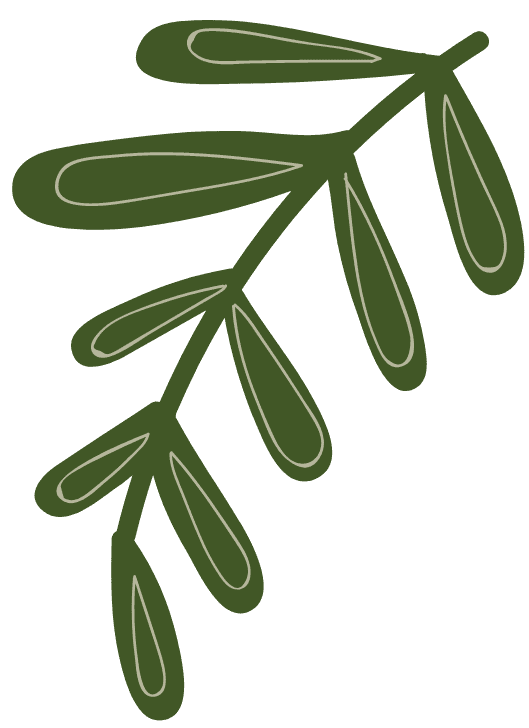 THÁI THỊ DIỆU THƯ